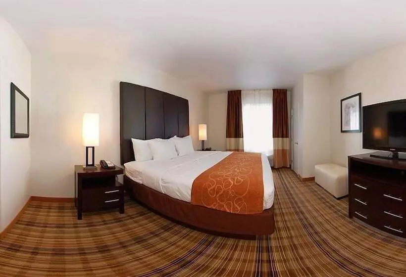 酒店 Comfort Suites Mandeville Covington