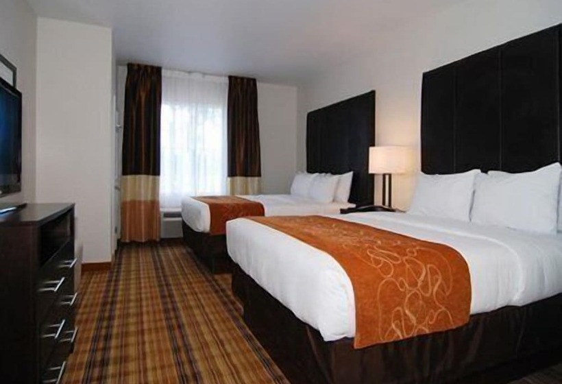 酒店 Comfort Suites Mandeville  Covington