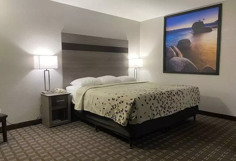 酒店 High Country Lodge