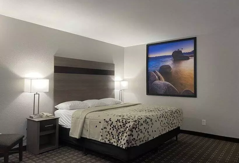 酒店 High Country Lodge