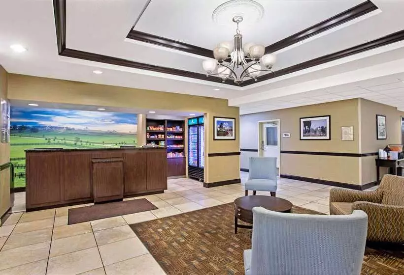 هتل La Quinta By Wyndham Lexington South / Hamburg