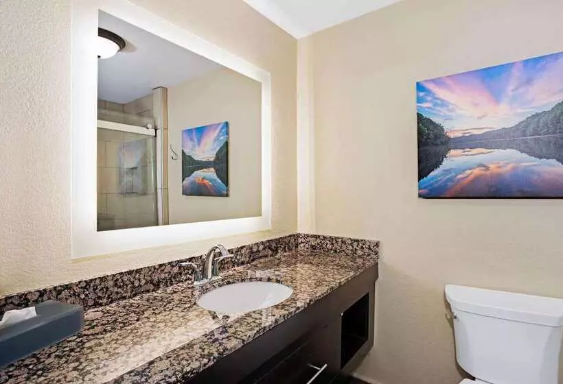 هتل La Quinta By Wyndham Lexington South / Hamburg