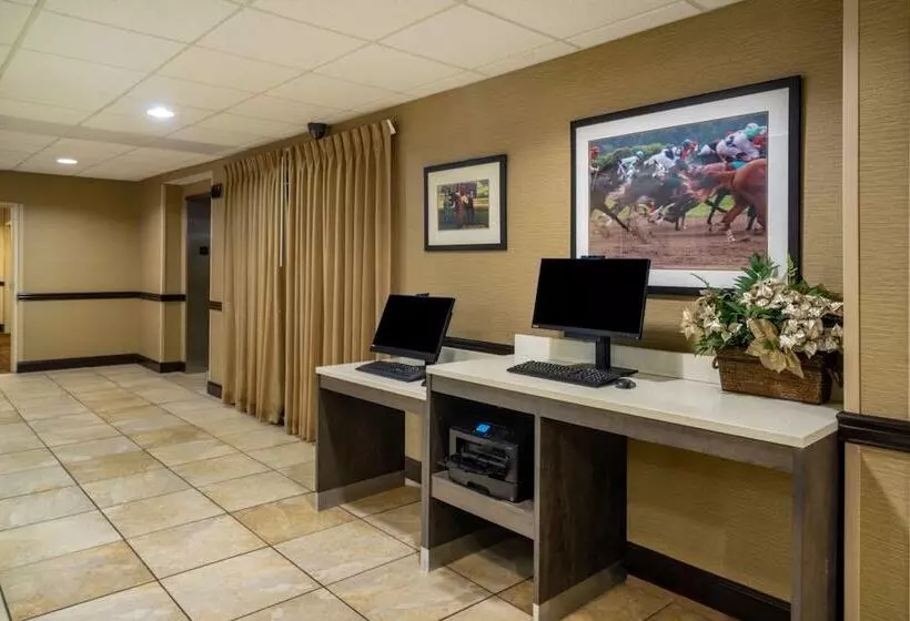 هتل La Quinta By Wyndham Lexington South / Hamburg