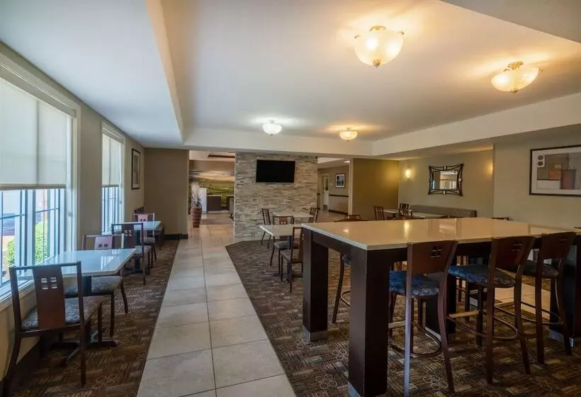 هتل La Quinta By Wyndham Lexington South / Hamburg