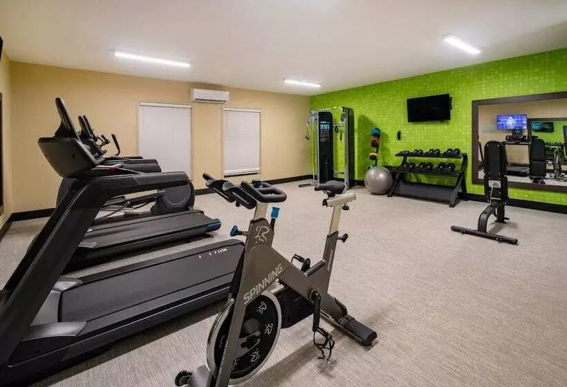 هتل La Quinta By Wyndham Lexington South / Hamburg