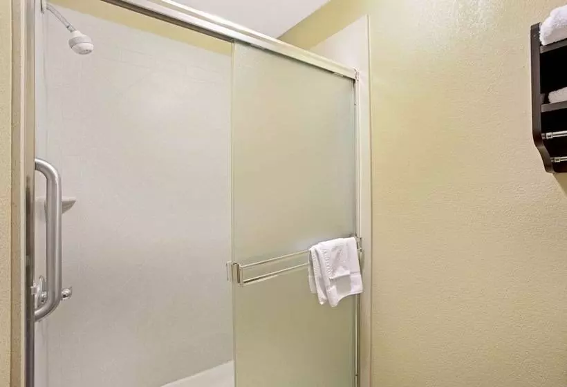 هتل La Quinta By Wyndham Lexington South / Hamburg