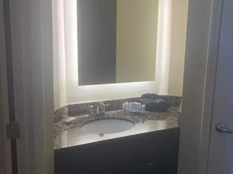 هتل La Quinta By Wyndham Lexington South / Hamburg