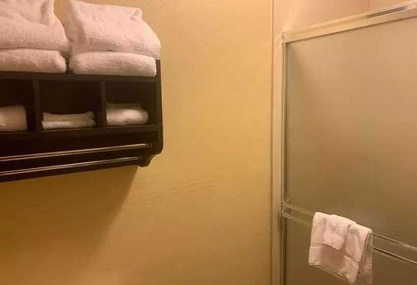 هتل La Quinta By Wyndham Lexington South / Hamburg