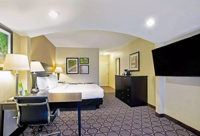 هتل La Quinta By Wyndham Lexington South / Hamburg