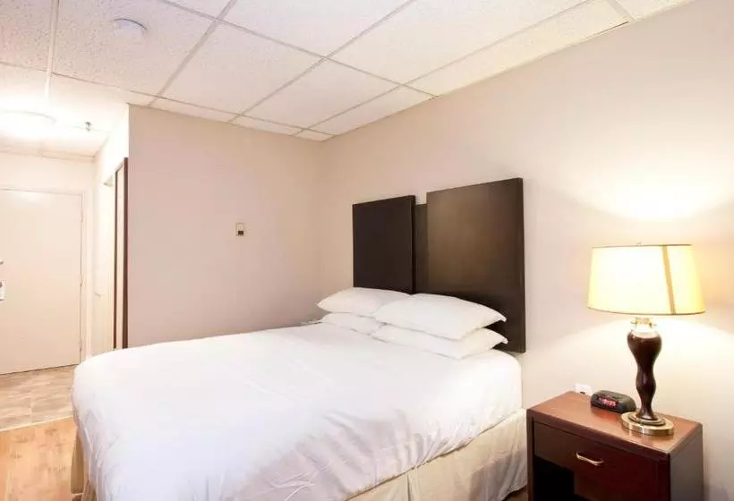 酒店 Provost Motor Inn