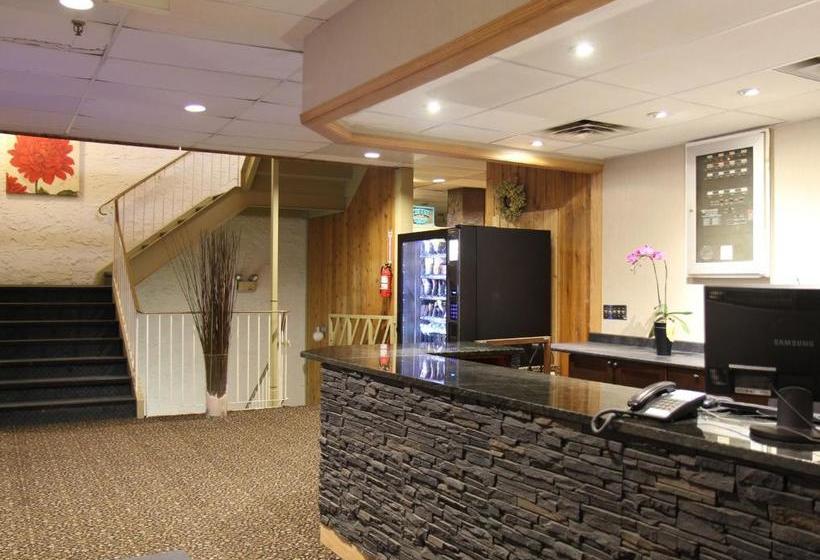 בית מלון כפרי Provost Motor Inn