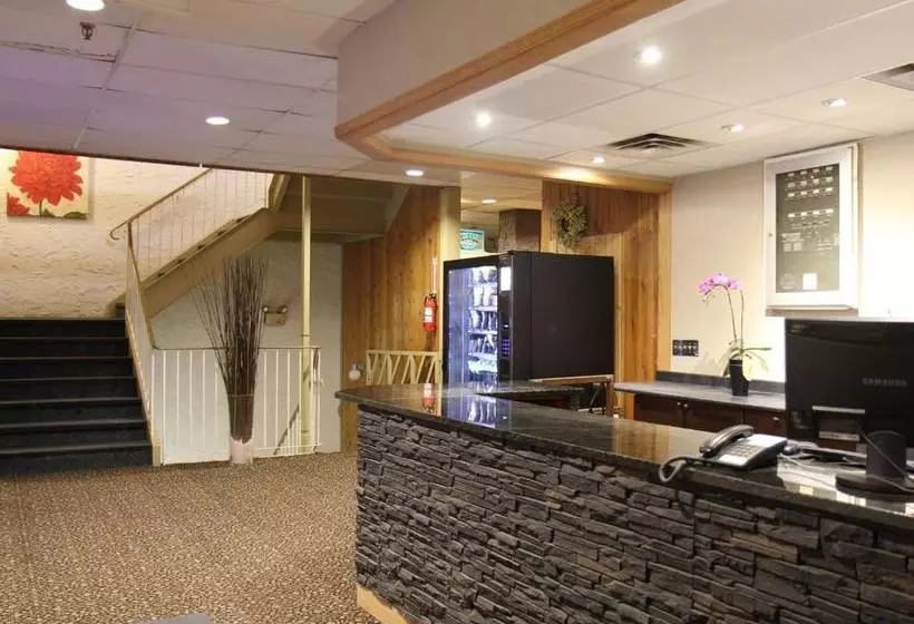 酒店 Provost Motor Inn