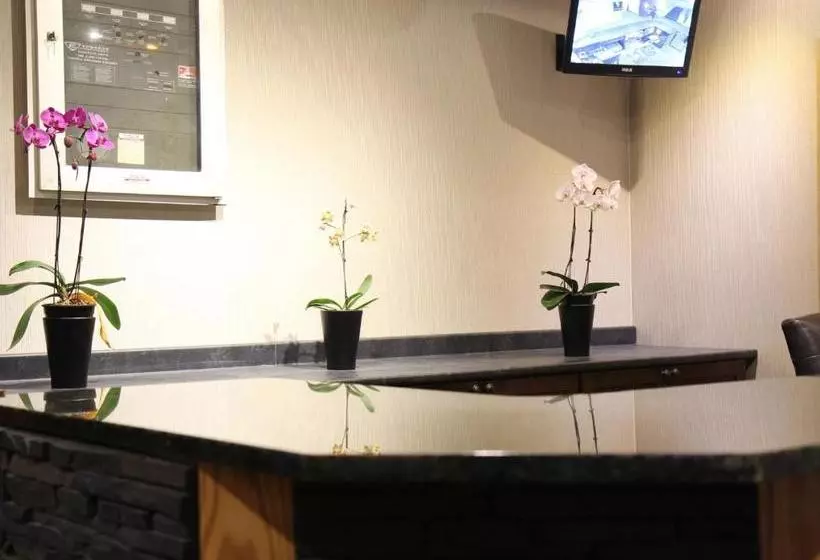 酒店 Provost Motor Inn