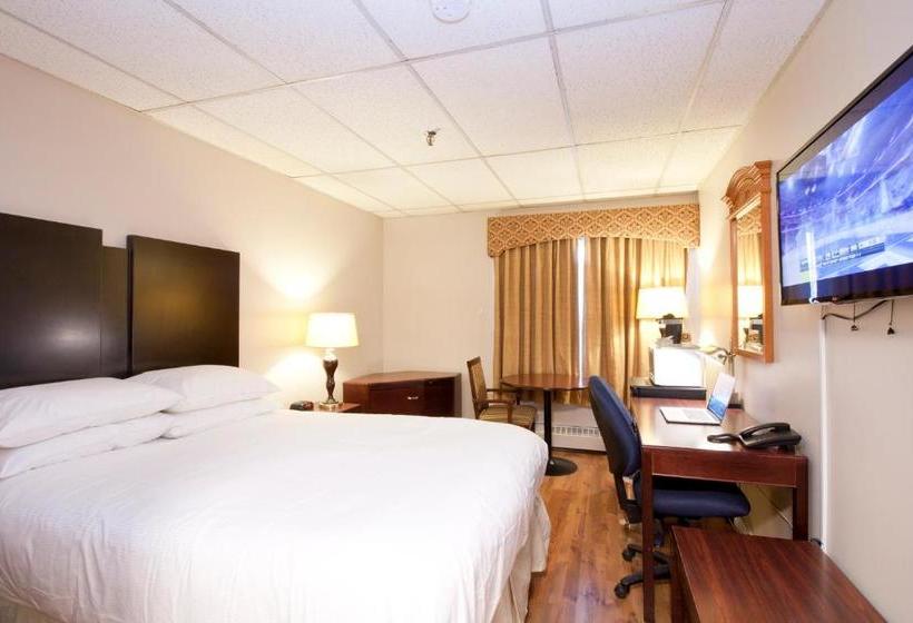 בית מלון כפרי Provost Motor Inn