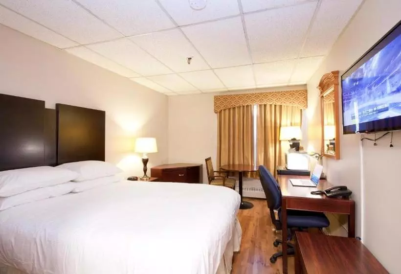 酒店 Provost Motor Inn