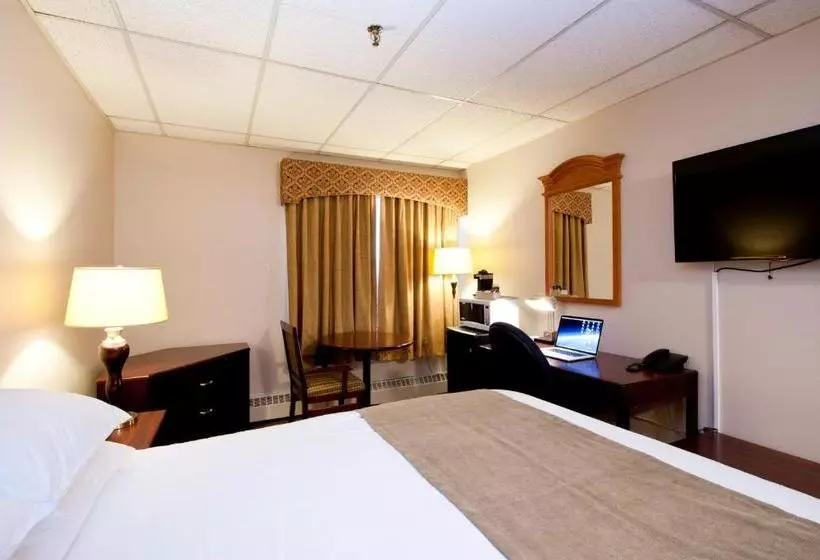 酒店 Provost Motor Inn