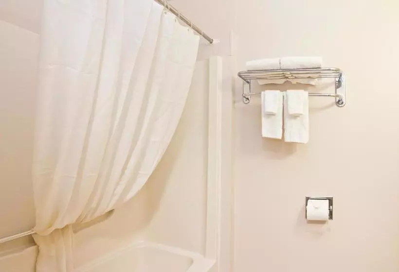 酒店 Provost Motor Inn