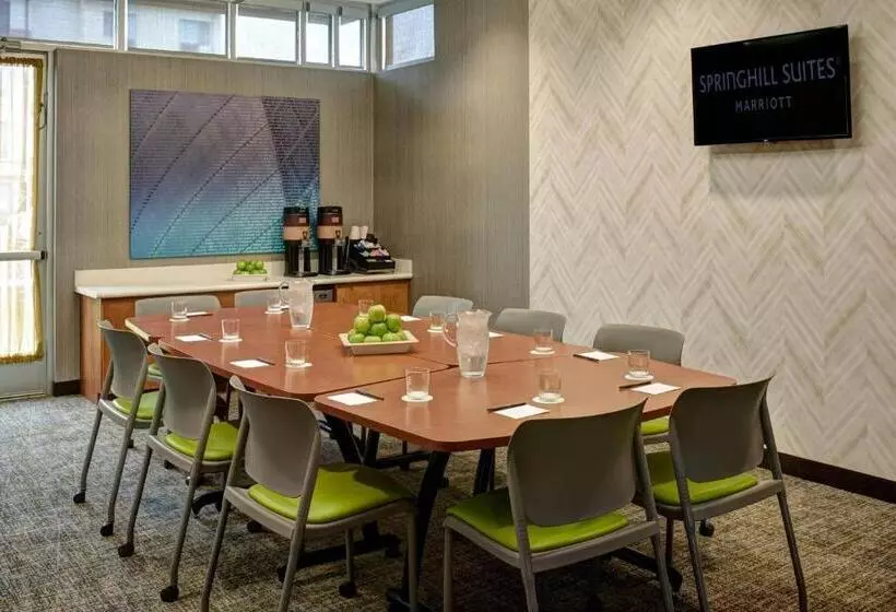 Отель Springhill Suites By Marriott Saginaw