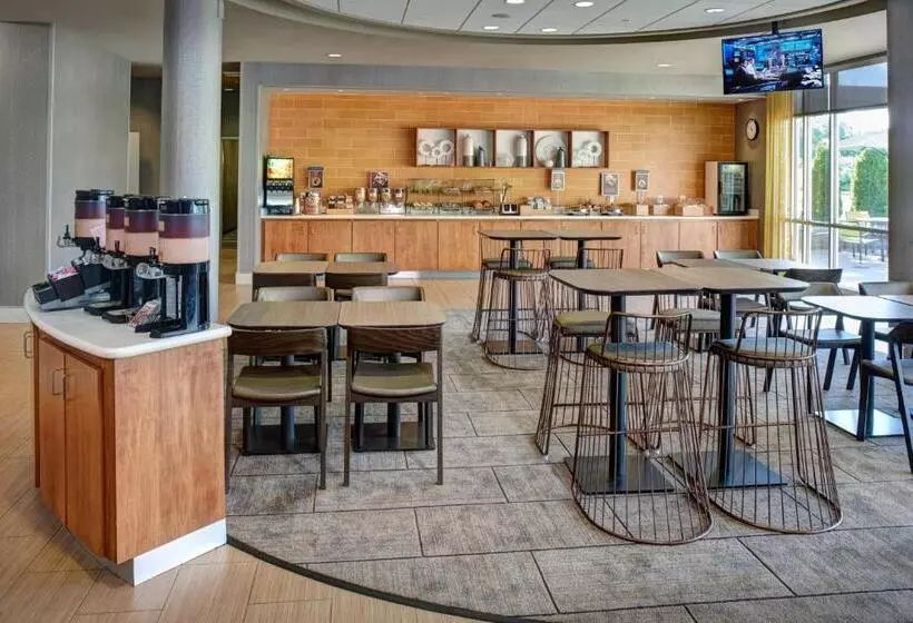 Отель Springhill Suites By Marriott Saginaw