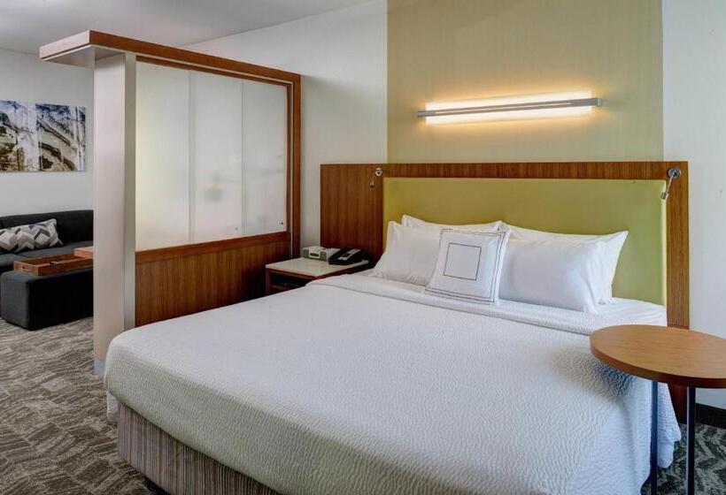 Отель Springhill Suites By Marriott Saginaw