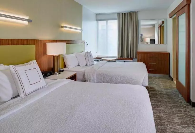 Отель Springhill Suites By Marriott Saginaw