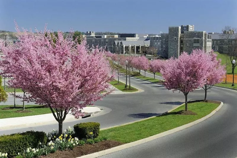 ホテル The Inn At Virginia Tech  On Campus