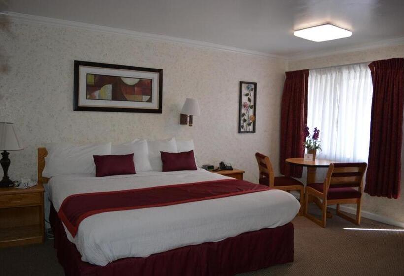 בית מלון כפרי Travelers Inn