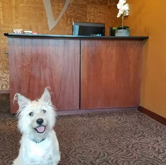 Отель V Boutique