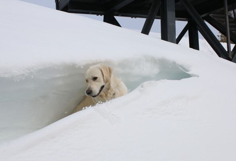 מוטל The Trailhead