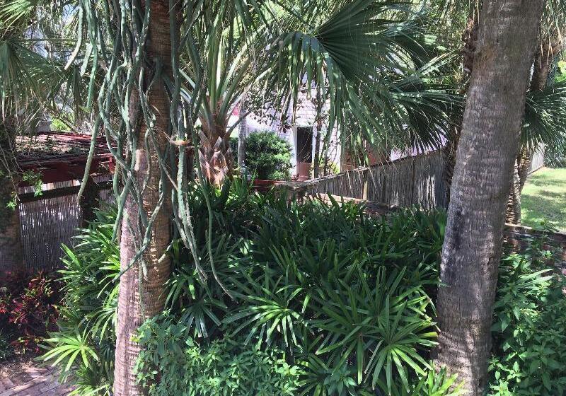 Port D'hiver Bed And Breakfast