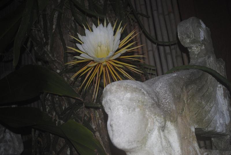 Port D'hiver Bed And Breakfast