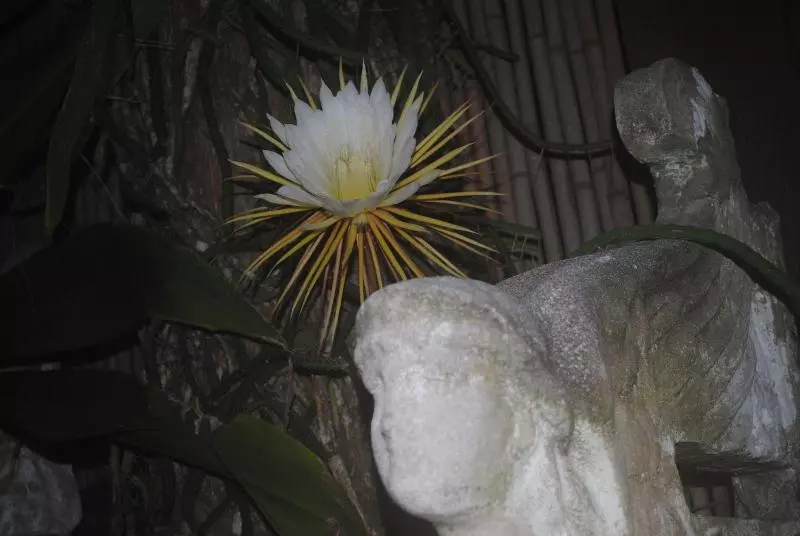 Port D'hiver Bed And Breakfast