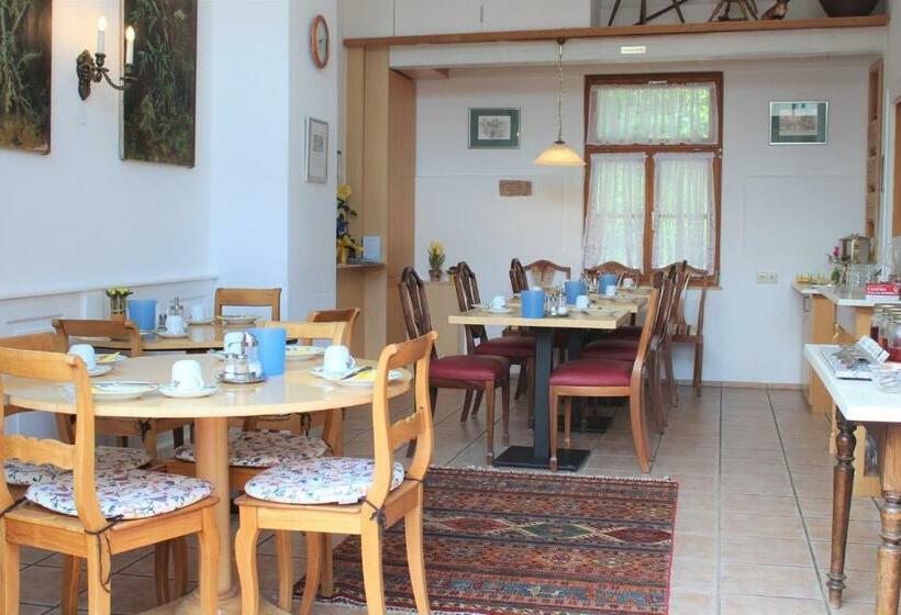 호스텔 Gästehaus Pfefferle Hotel Garni Und Ferienwohnungen