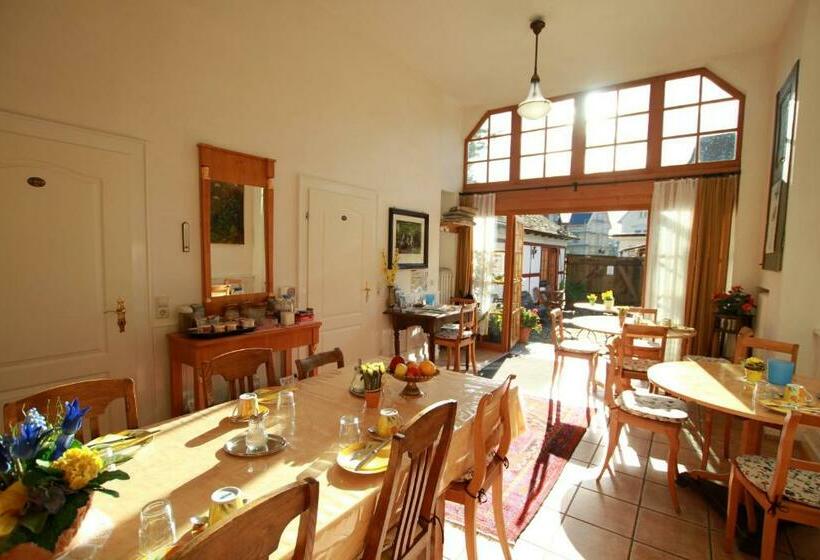 호스텔 Gästehaus Pfefferle Hotel Garni Und Ferienwohnungen