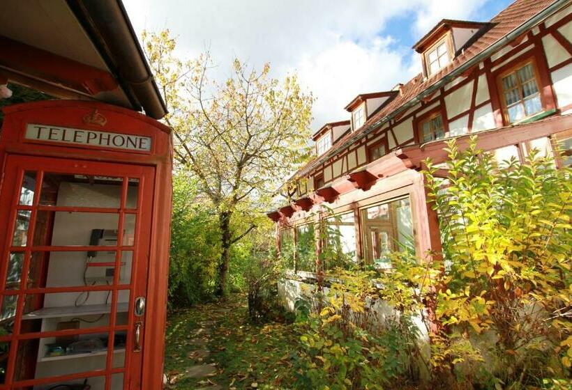 호스텔 Gästehaus Pfefferle Hotel Garni Und Ferienwohnungen