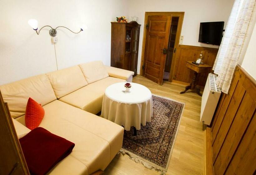 호스텔 Gästehaus Pfefferle Hotel Garni Und Ferienwohnungen