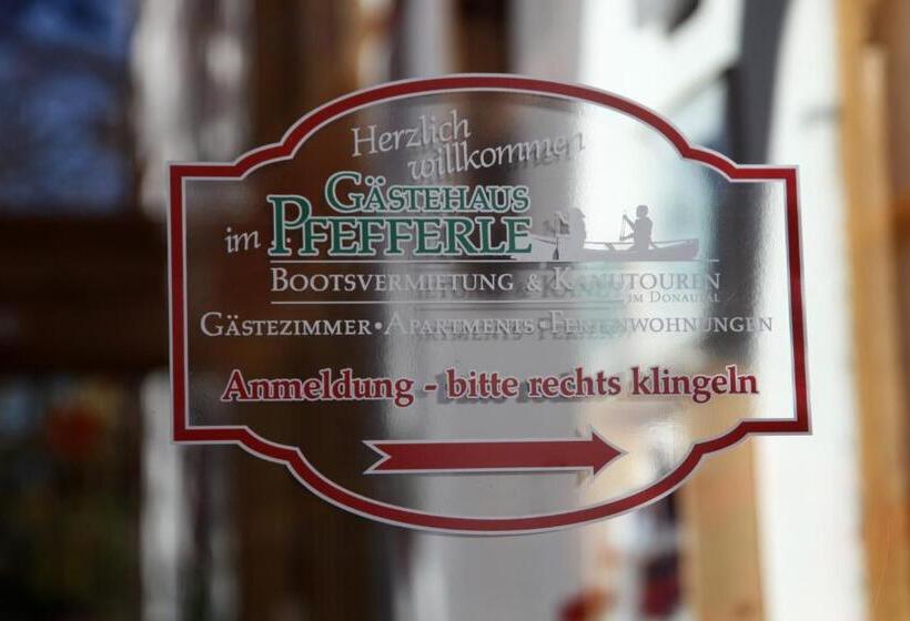 호스텔 Gästehaus Pfefferle Hotel Garni Und Ferienwohnungen