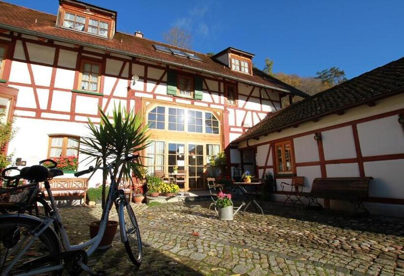 호스텔 Gästehaus Pfefferle Hotel Garni Und Ferienwohnungen