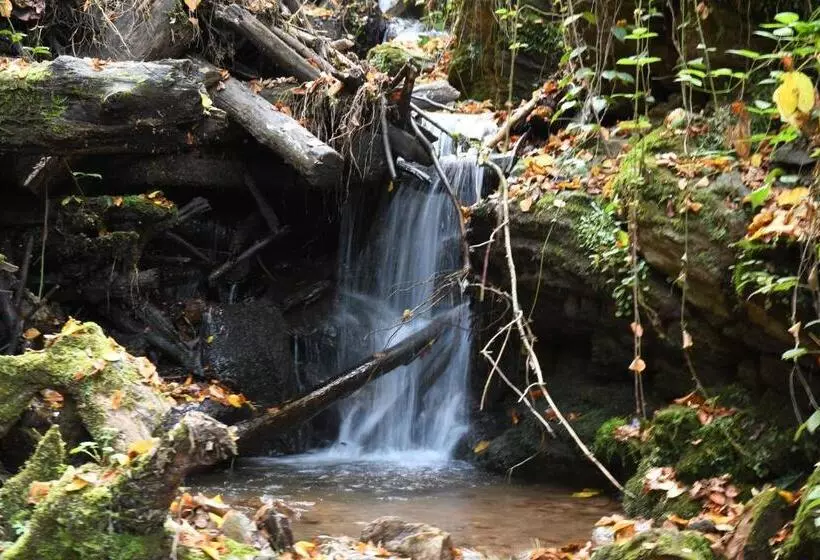 Retkeilymaja Lieperts Cafè Dinners