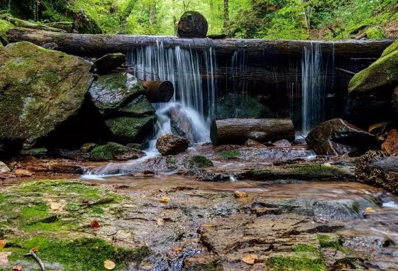 Retkeilymaja Lieperts Cafè Dinners