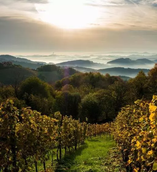 Retkeilymaja Lieperts Cafè Dinners