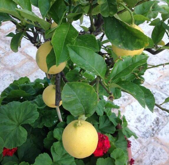 צימר Masseria Boezio Ostuni