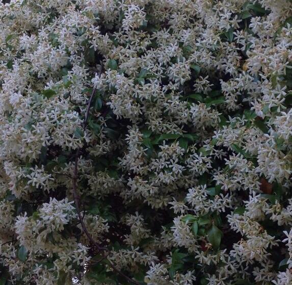 צימר Masseria Boezio Ostuni