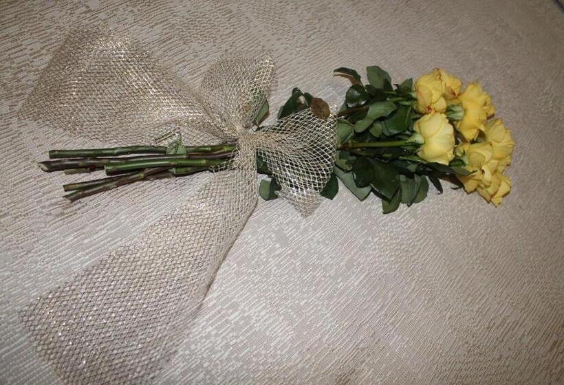 פנסיון Piccola Perla Guest House