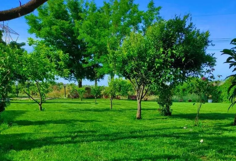 پانسیون S Istentale