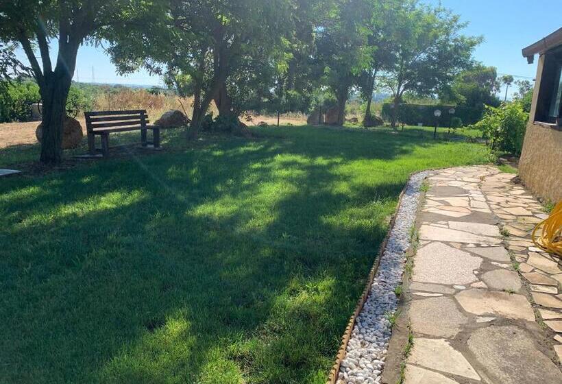 膳宿费 S Istentale