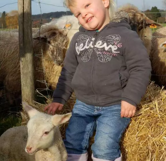 B&b Hoeve De Schapenkop