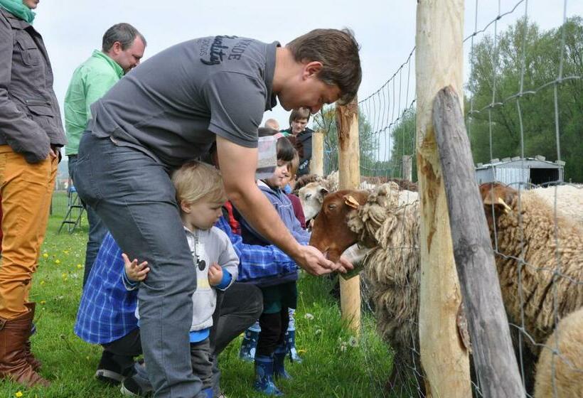 B&b Hoeve De Schapenkop
