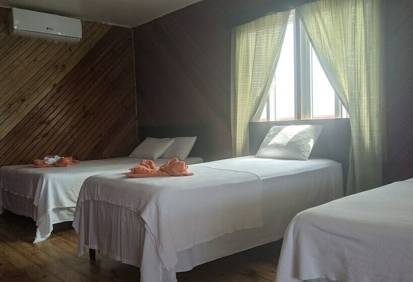 هتل Coral View Beach Resort