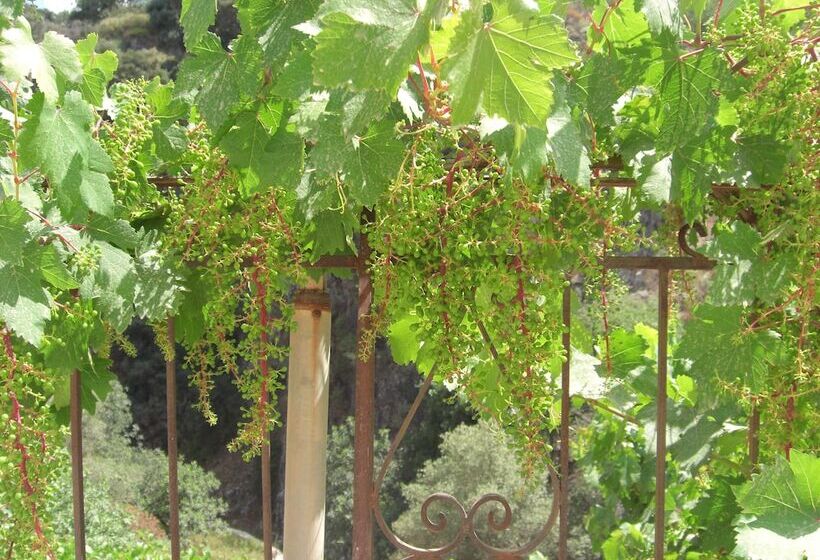 هتل Patriko Traditional Residence